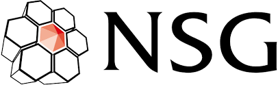 NSG logo
